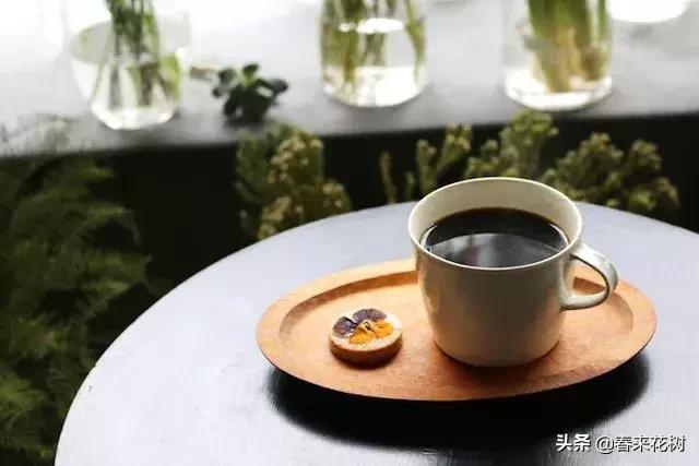 日本东京花店推荐,超美的花店