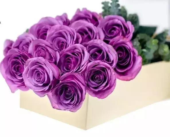 玫瑰大全|说到玫瑰只能想到红玫瑰的,建议你好看看本文!