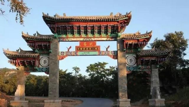 易武茶叶真假怎么分辨,易武茶饼真假鉴别方法