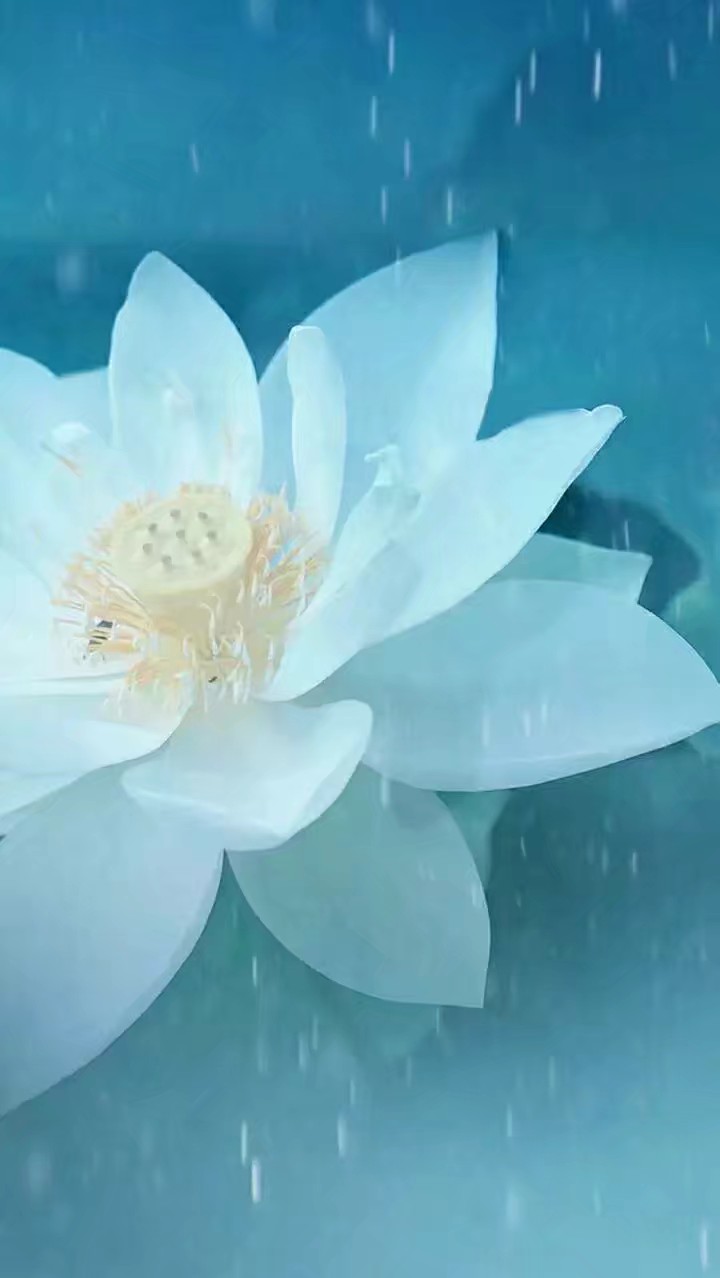 西风多少恨吹不散眉弯意思,西风多少恨吹不散眉弯是哪首诗