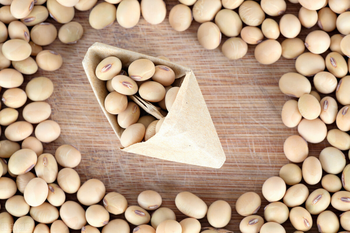 进口美豆海运费查询,美豆进口关税及运费多少