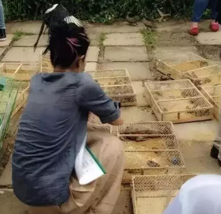 谢霆锋王菲复合后牵手视频,谢霆锋说不会结婚的视频