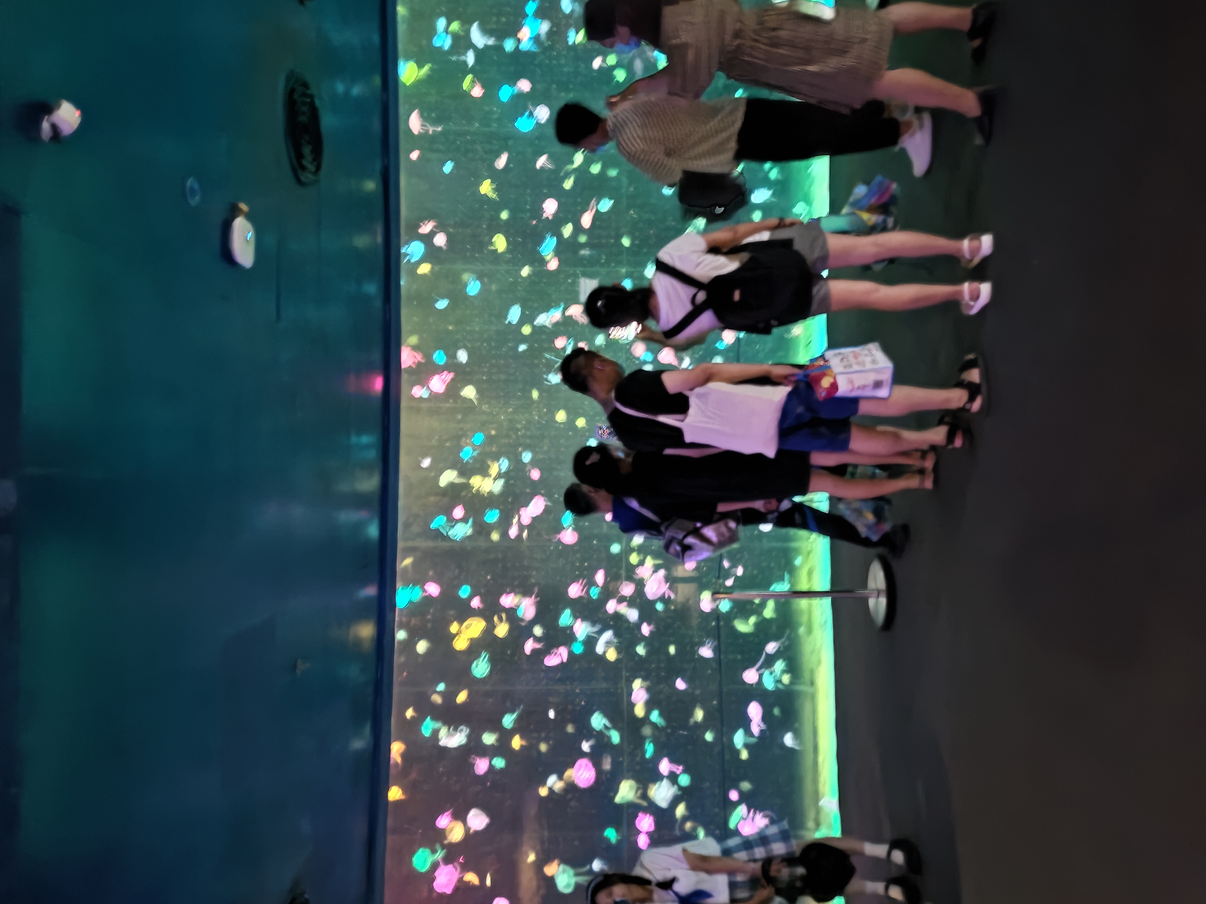 缘分注定的意外一台3.5排量6缸车的2万预算整备之旅