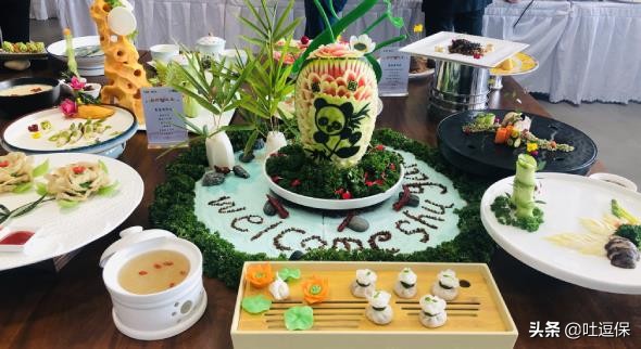 看完就想立马退休的“养老社区”,究竟是有多好?