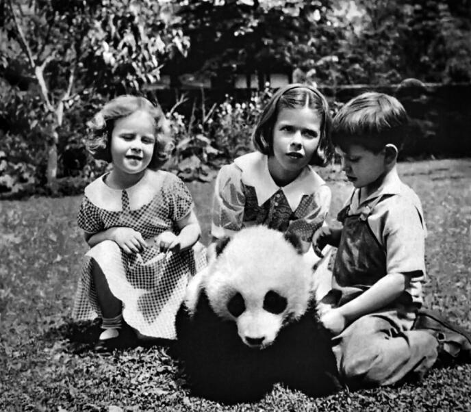 滚滚大熊猫日记,滚滚大熊猫回国后的生活