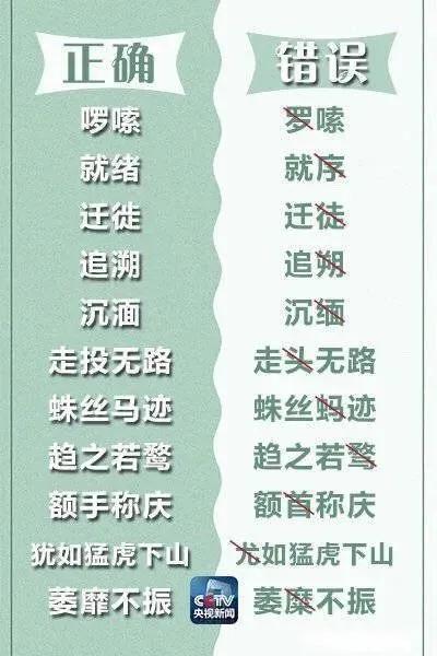 中央电视台十大易错词,央视公布易错汉字