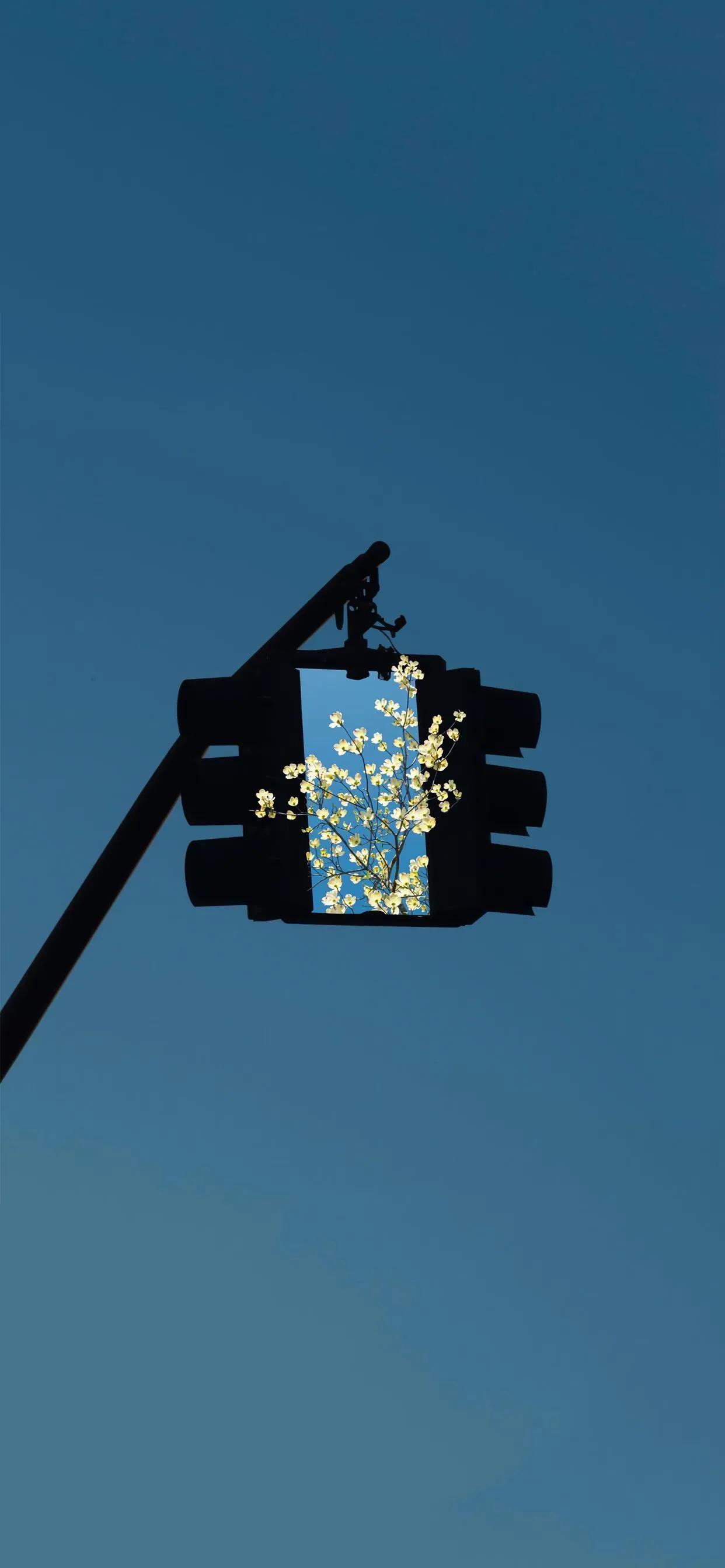 让人很惊艳的微信壁纸,2021独一无二微信背景高清壁纸