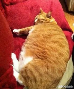 自学雅思一般需要多长时间,自学雅思的好处你根本想象不到