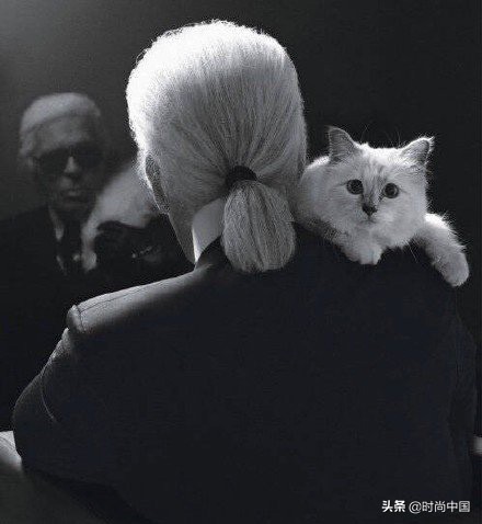 买不起香奈儿包包还可以买什么,买不起系列香奈儿