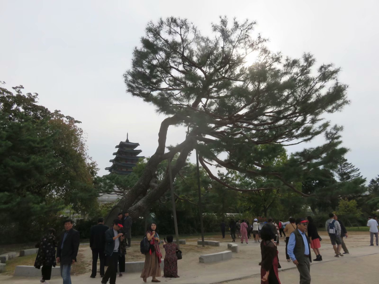 韩国首尔行day2,韩国首尔街景