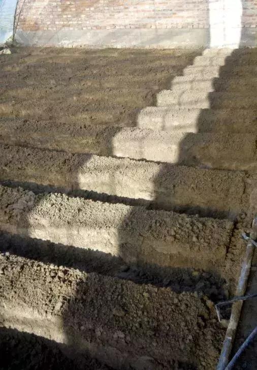 草莓大田移栽株距是多少,草莓大田育苗新技术视频