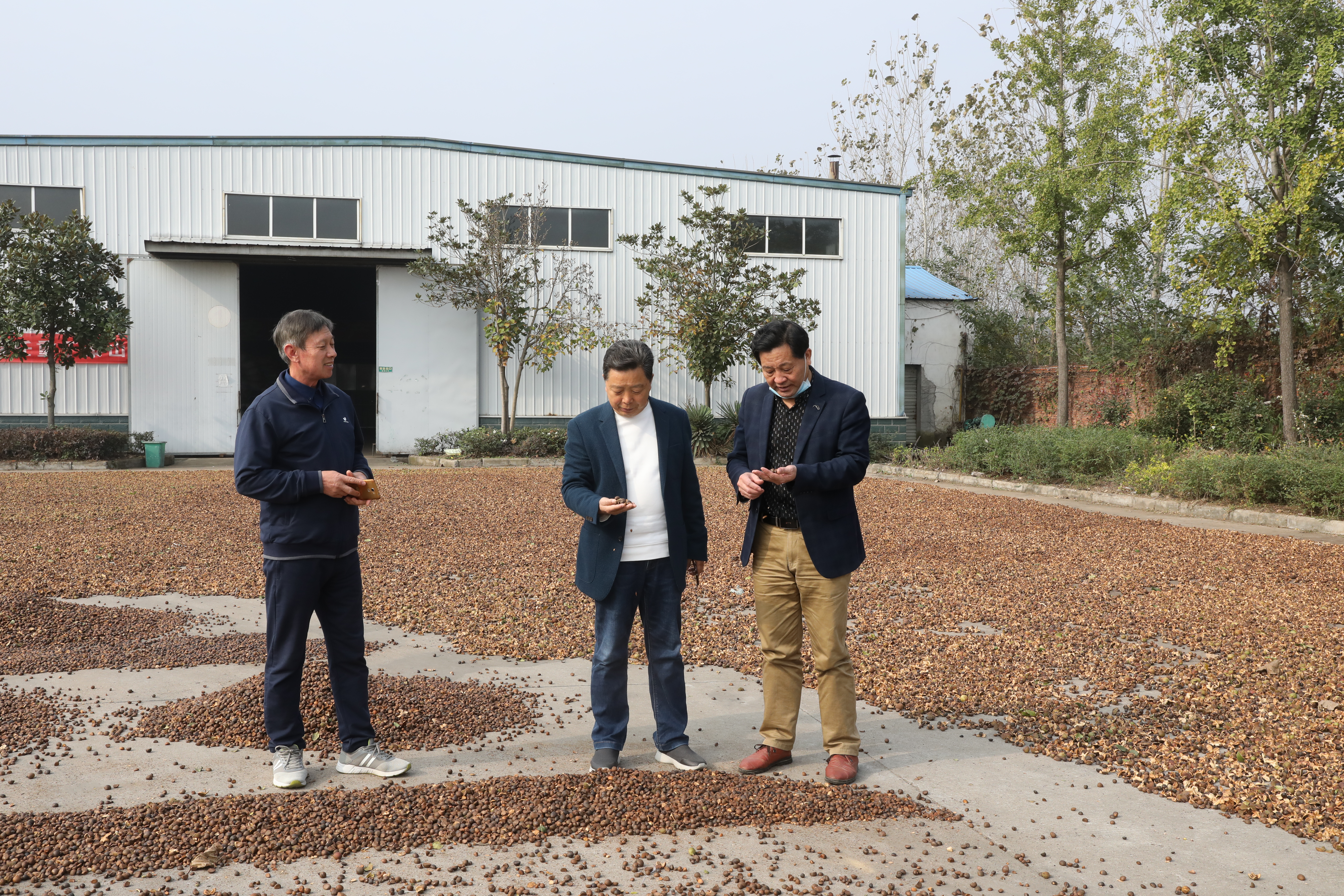 做服务群众的带头人,帮农助农民做先锋