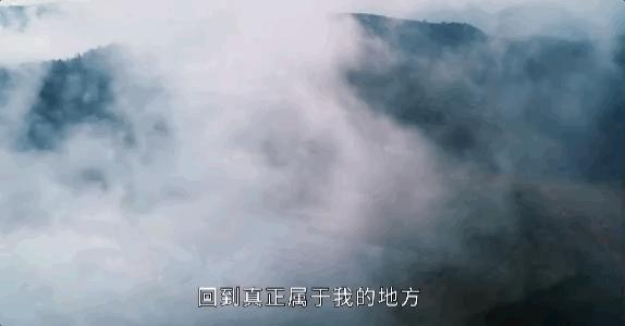 带你Get《司藤》同款神仙美景，春天的香格里拉这样玩