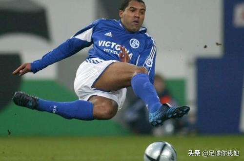 绰号和动物有关的巴西球星,巴西足球名将绰号小鸟