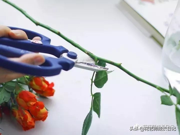 开花店花材损耗,花店新到花材如何打理