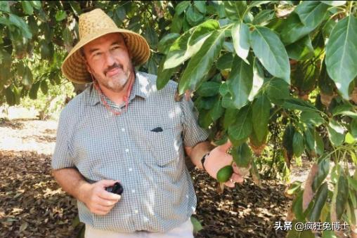 揭秘营销模式背后的阴谋,揭秘营销套路大骗局