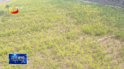 「深入学习贯彻市第五次*党**代会精神」柳林：沿黄旅游公路助力乡村振兴