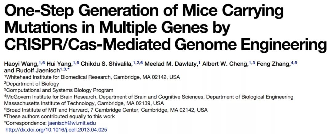 85后科学家杨辉开挂的科研之路,85后科学家杨辉简介