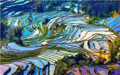 西双版纳风景之旅自由行旅游攻略,邂逅雨林西双版纳秘境之旅