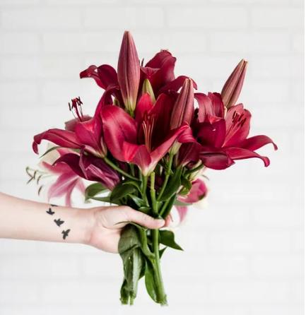 百合花开花后怎么处理视频,百合花盆栽开花后怎么修剪