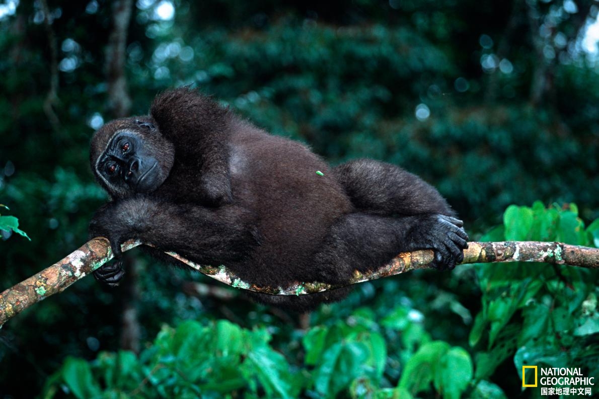 2020年不可错过的美景,2023年必去的旅行