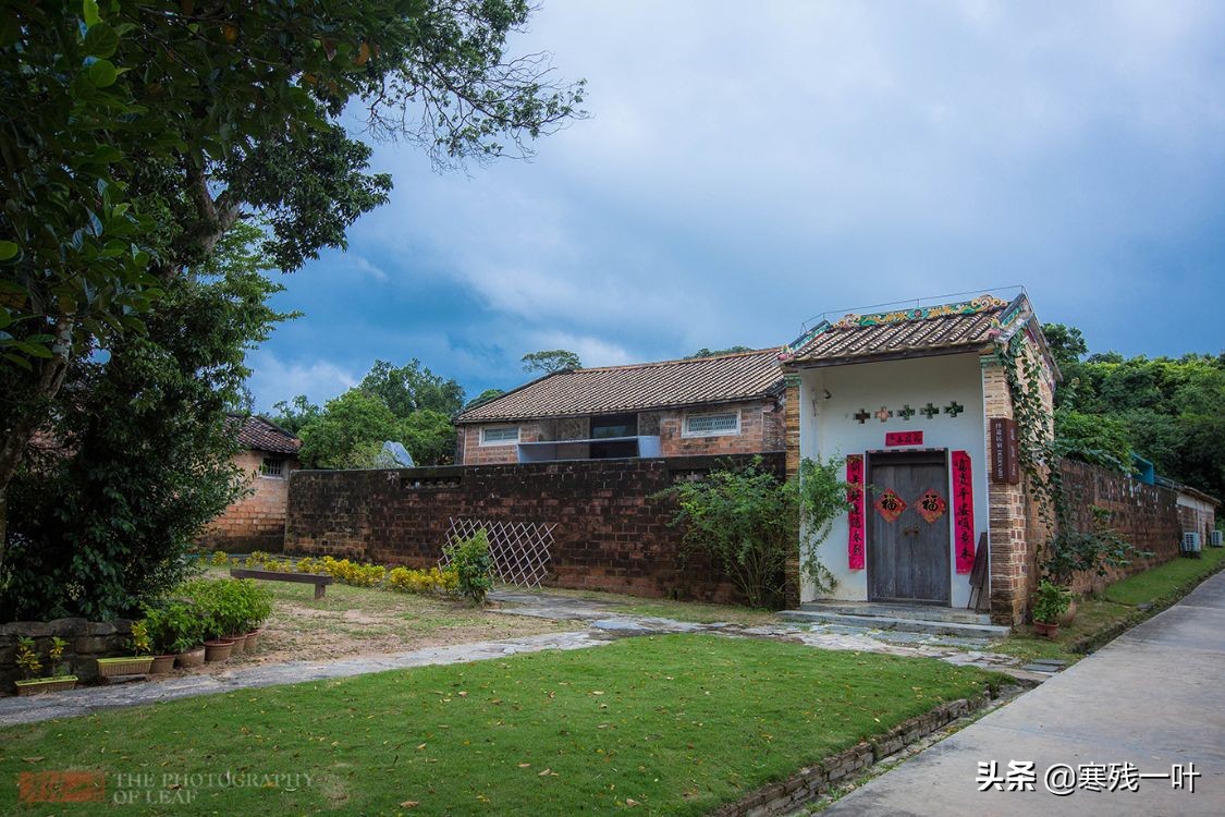 正宗海南文昌鸡,海南正宗文昌鸡吃什么长大的