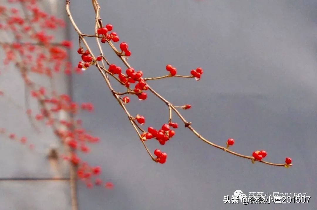 城市漫步,城市漫步郑州