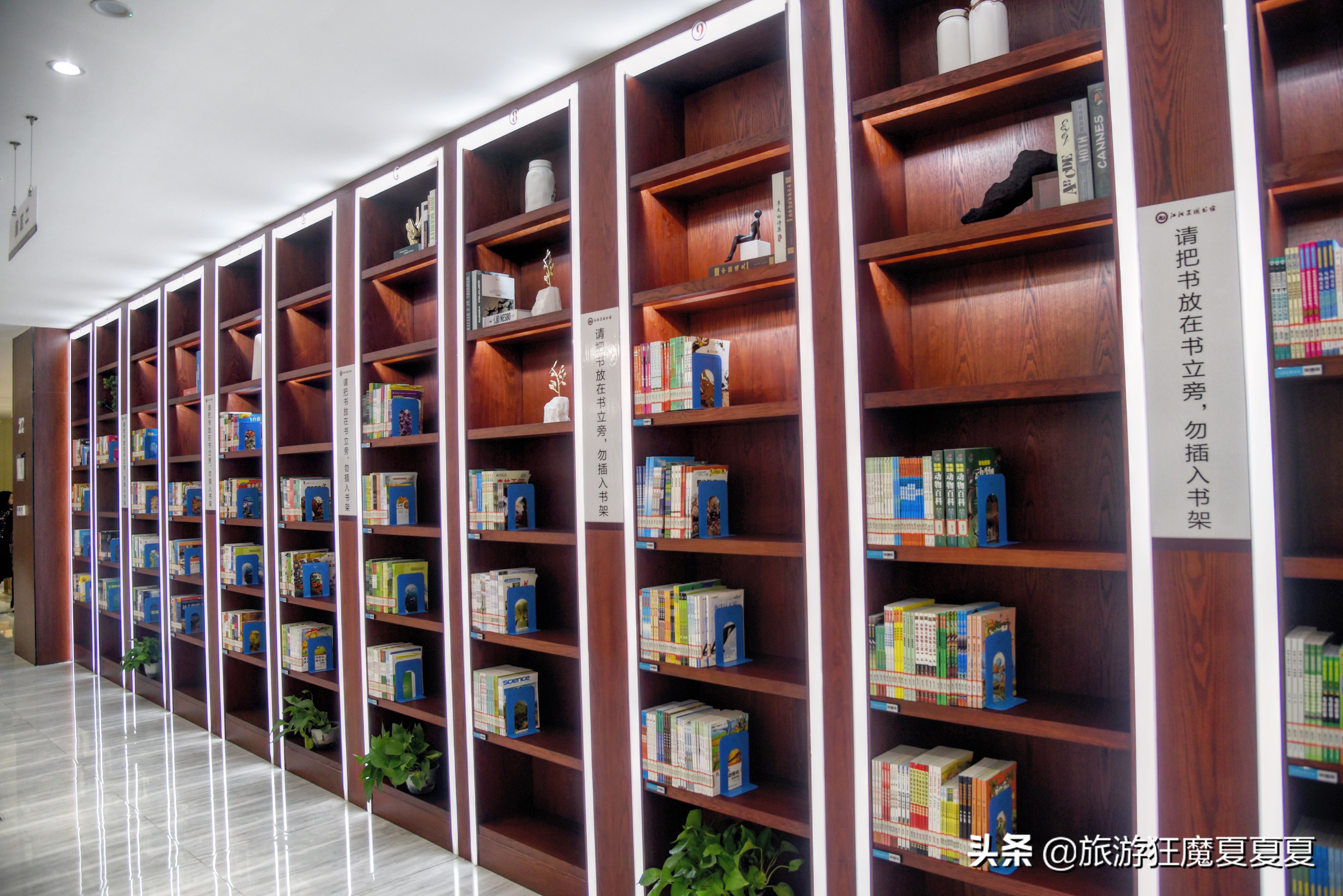 泸州江阳公园图书馆,四川适合小朋友的图书馆