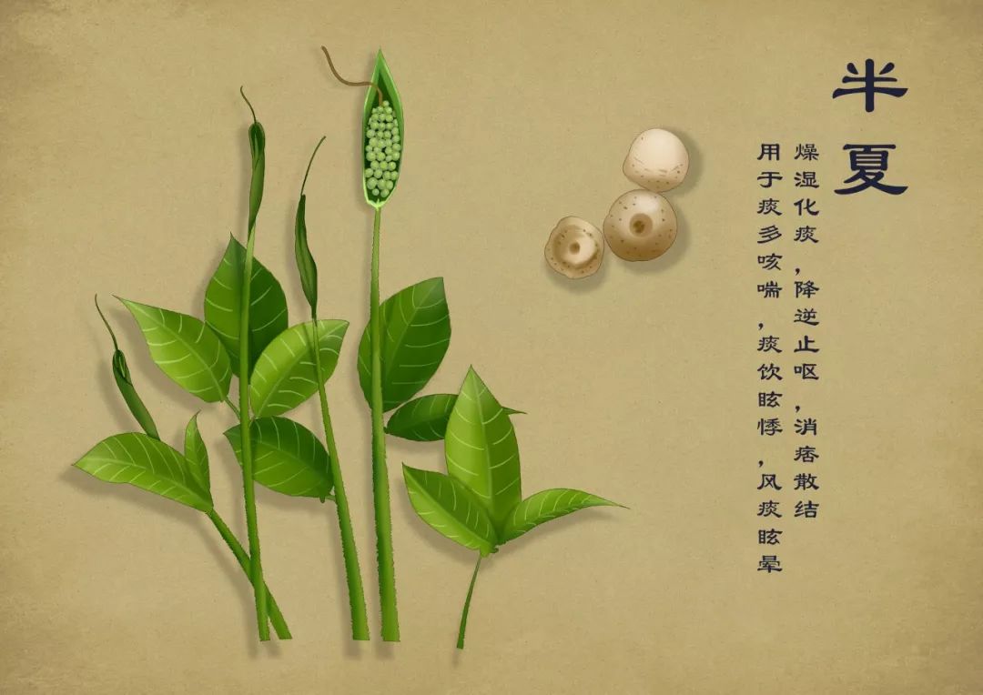 胸闷气喘哮鸣音，顽固性哮喘试试这个穴位贴敷方法