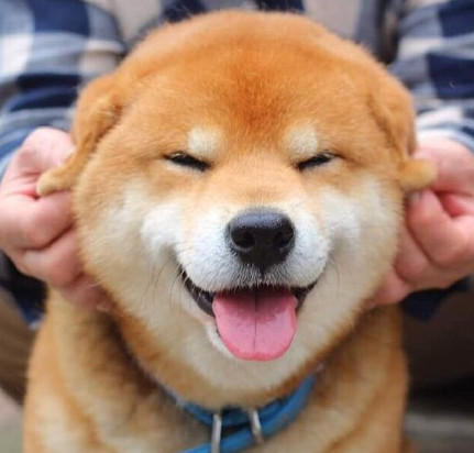 我们手掌上有1个开关，把这个开关打通，多年气喘的*毛老**病就好了