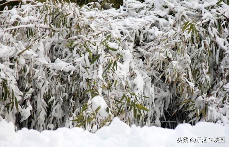 戏雪游乐场项目,戏雪乐园雪人