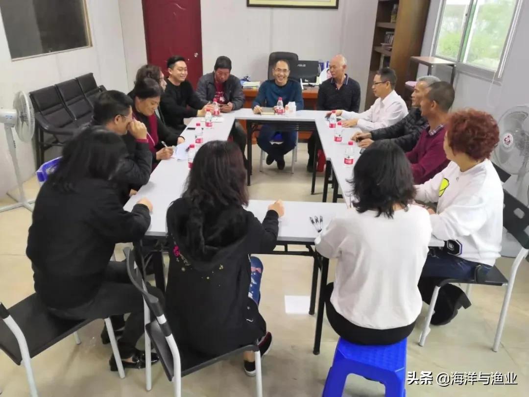 10万以上的龟,荷塘龟谷在线养龟