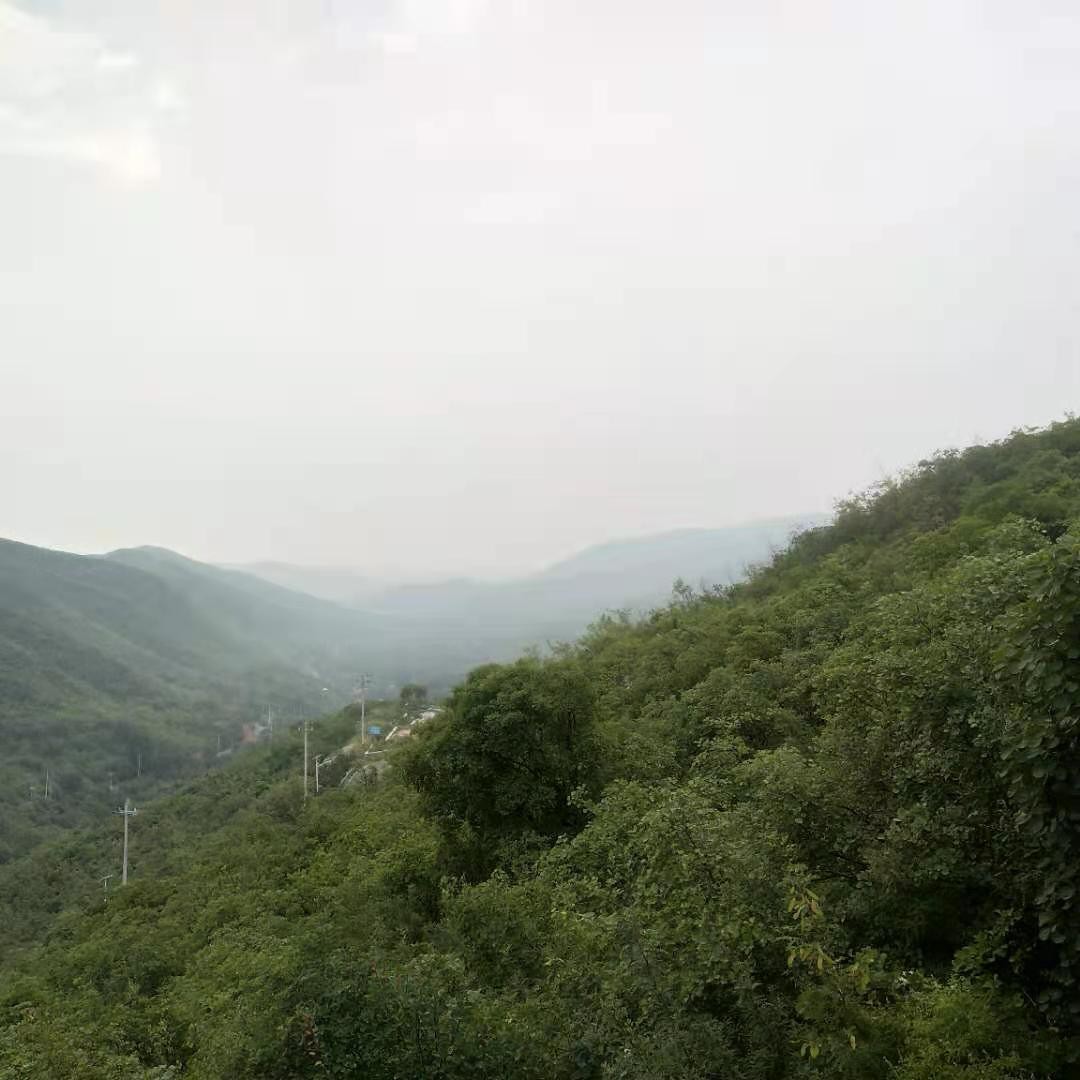 焦作市民宿短租房,焦作中站有外租房子吗