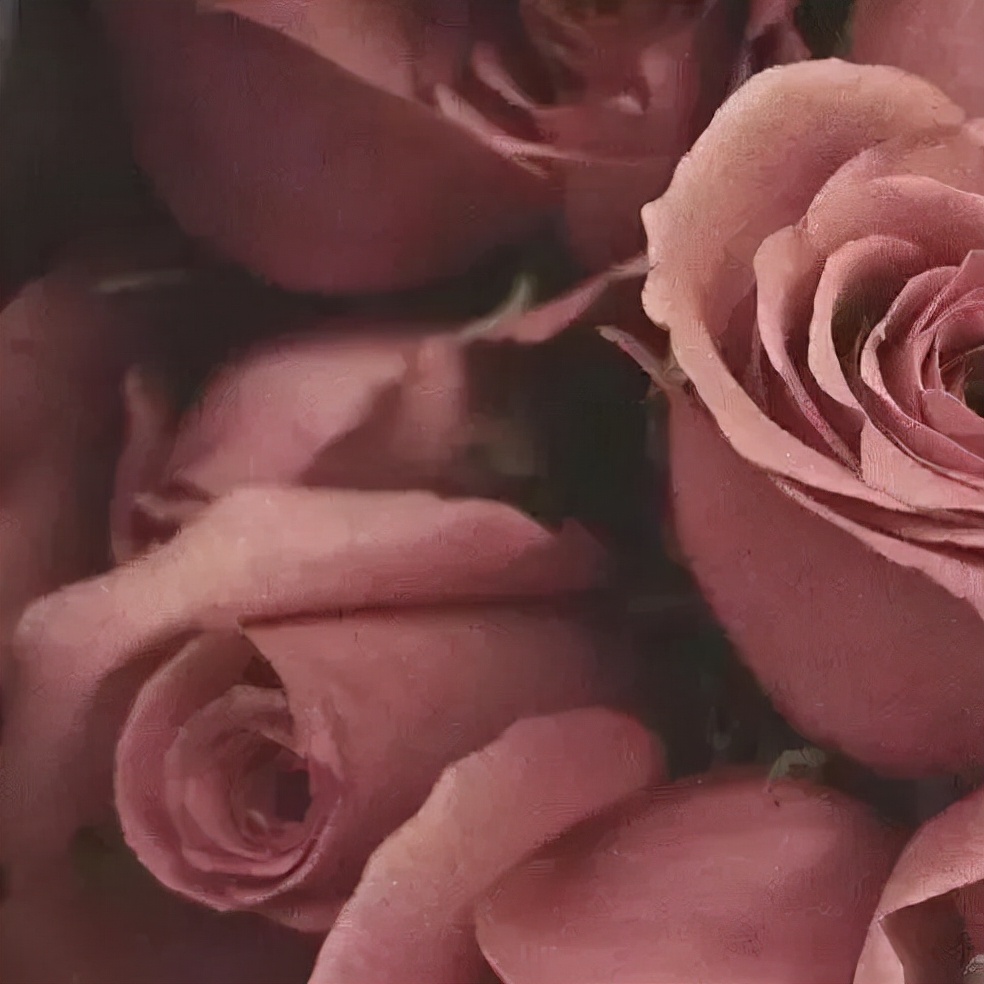 ct口红walkofshame迪奥772,哪一款口红跟迪奥756色号差不多