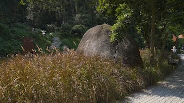 深圳最新绿道推荐,龙华环城绿道羊台山段从哪进