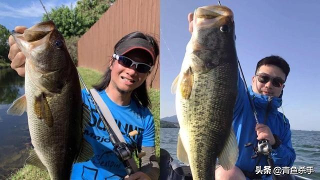 玩路亚老是炸线怎么回事,钓路亚老是炸线是什么原因