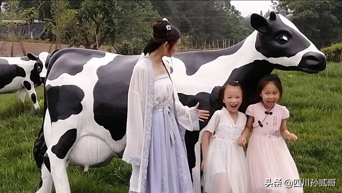 雪宝奶牛场,参观雪兰牛奶工厂心得体会