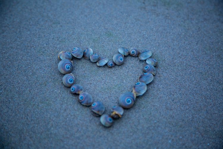 乐亭浅水湾浴场,乐亭县浅水湾赶海