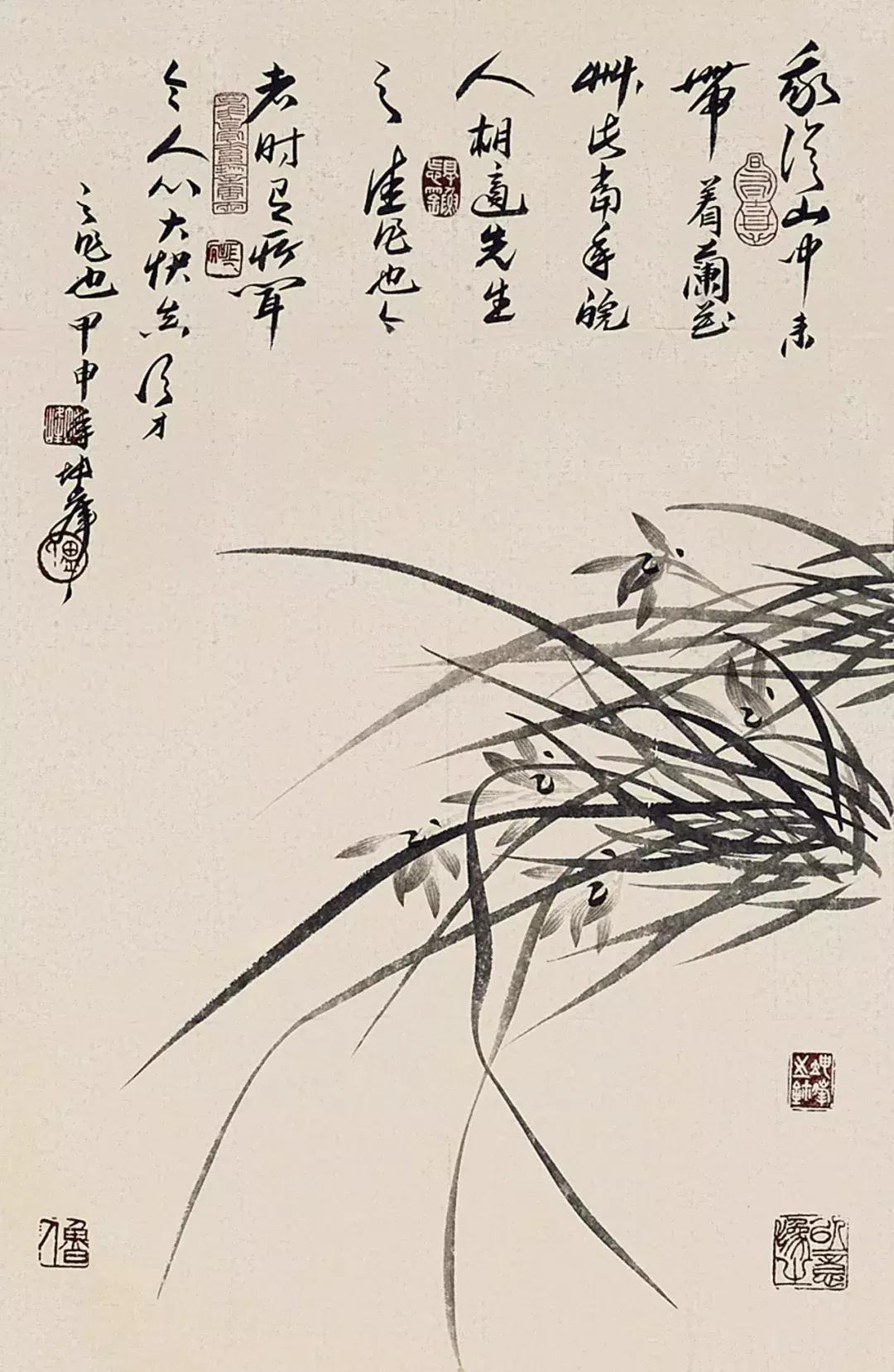 如何画兰花最好看的,君子兰花如何画