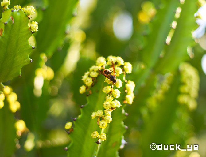 厦门网红拍照打卡地高铁,厦门旅游网红拍照