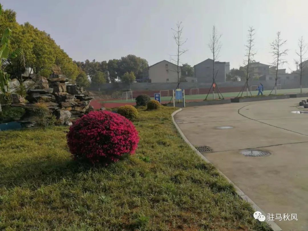 黄梅县六小学校六一,黄梅六小怎么样