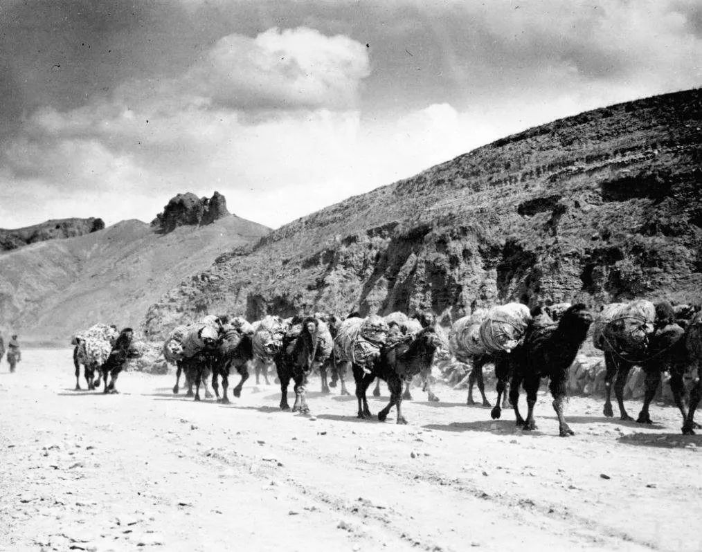 这是一条长达13000公里的推送......