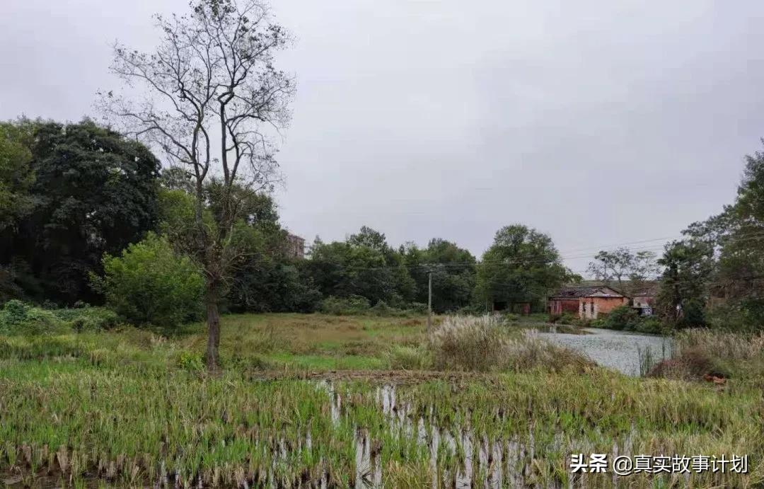 沉迷手机的大人会怎样,沉迷于手机的老年人