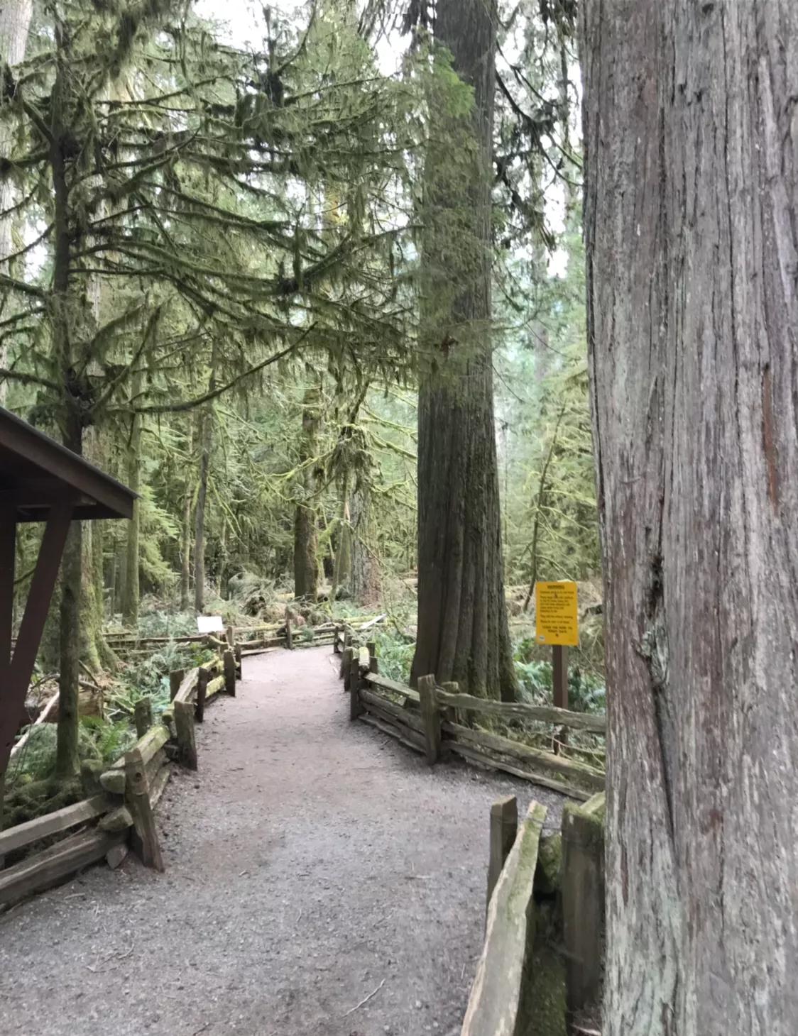 加拿大北方群岛旅游,加拿大托菲诺旅游