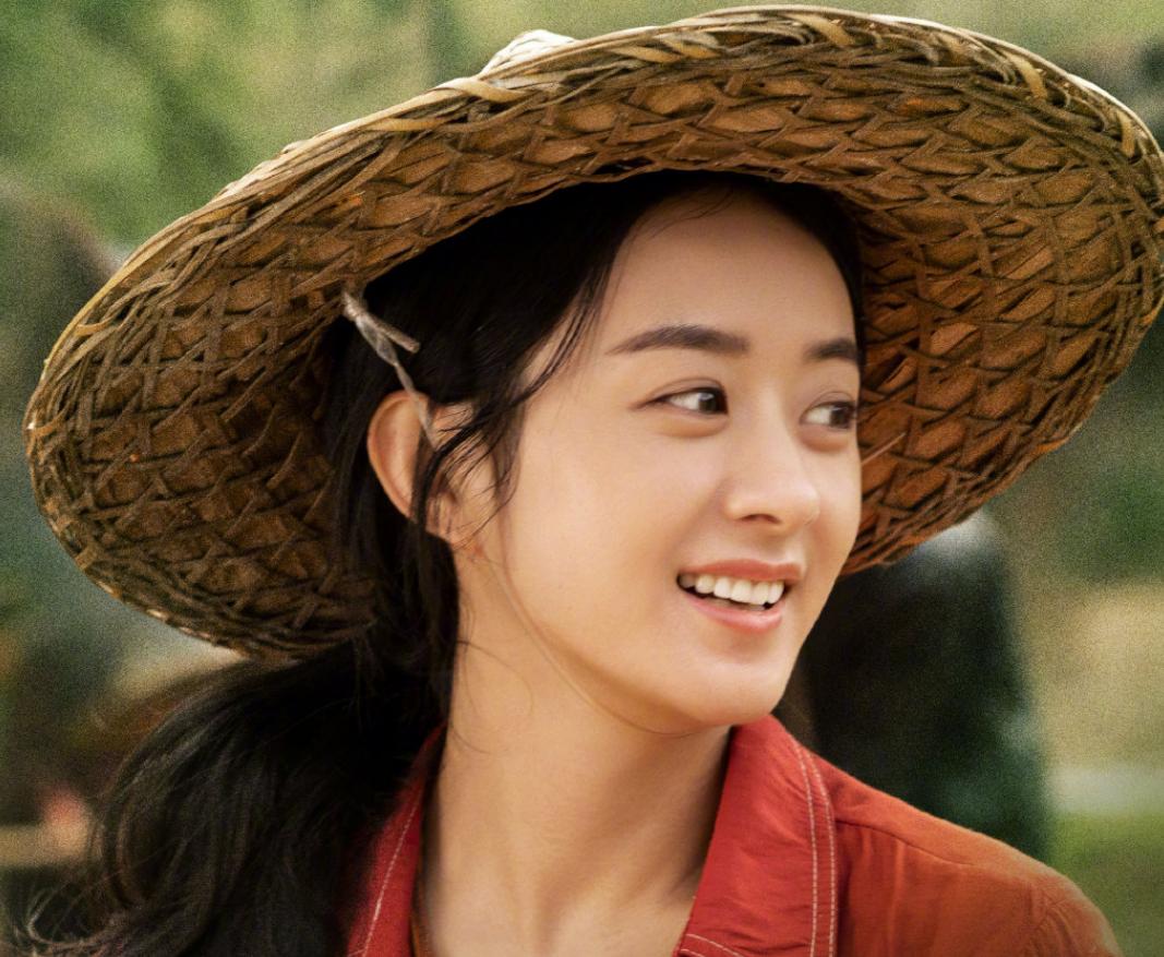 赵丽颖微博粉丝发声事件,赵丽颖粉丝事件对赵丽颖的影响