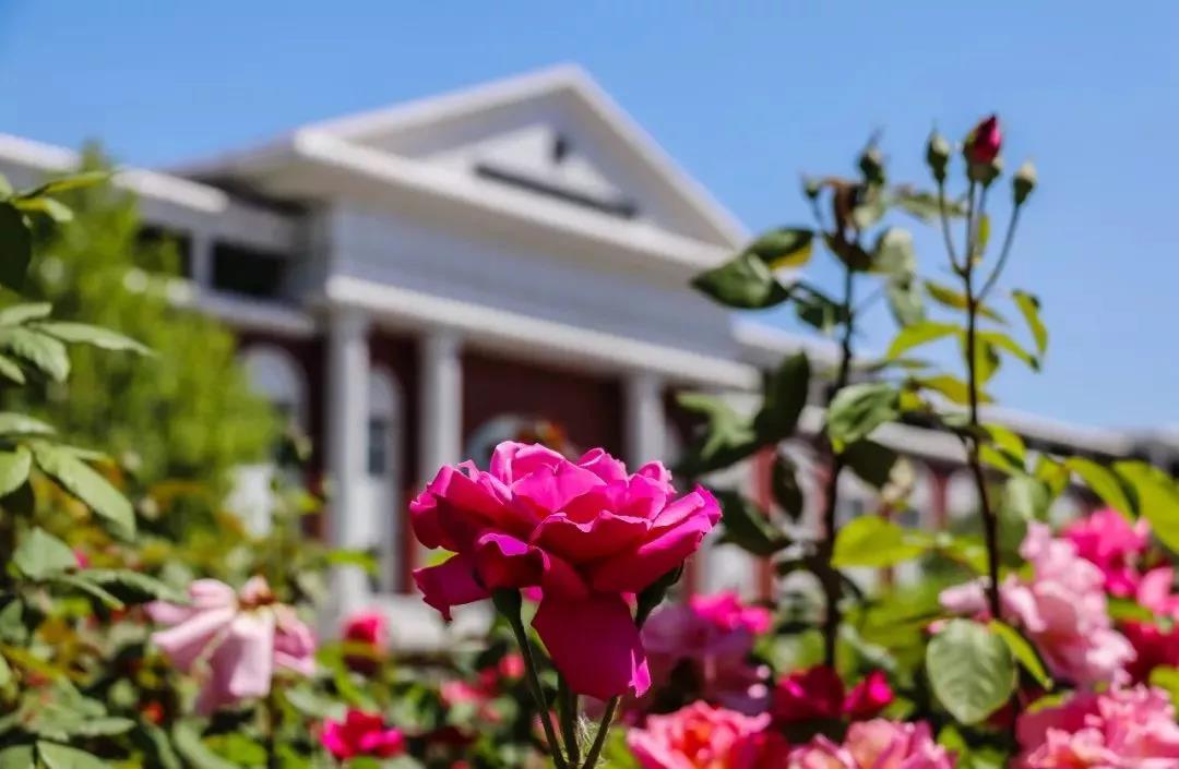 天津津南区荣程钢铁,天津荣程钢铁环境