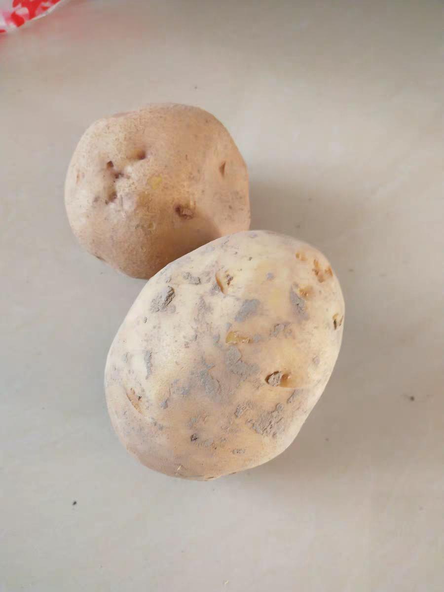 降血糖降血压降血脂的蔬菜和水果,妊娠期糖尿病降血糖吃什么蔬菜