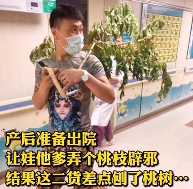 宝妈让宝爸折桃枝接娃出院,爸爸搬来“整棵”桃树,引来众人围观