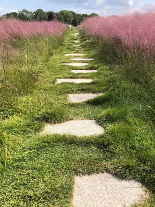 忆往昔惜离别,越剧忆往昔