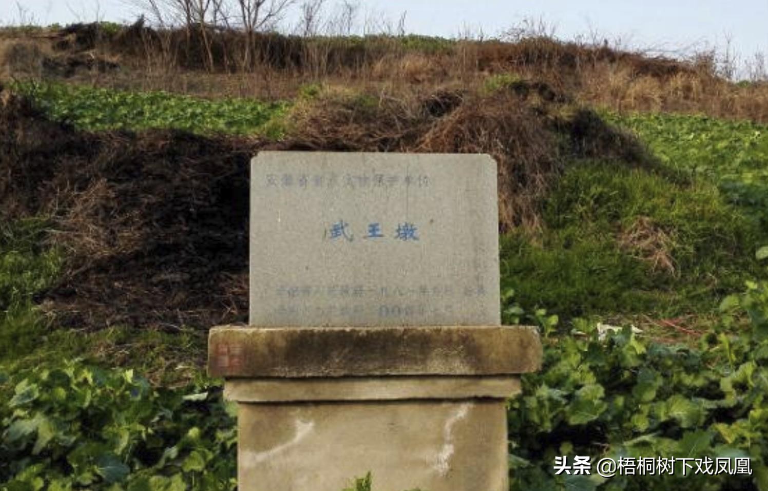 从盗猎者手里买动物放生,从盗墓者手中抢出的国宝玉器